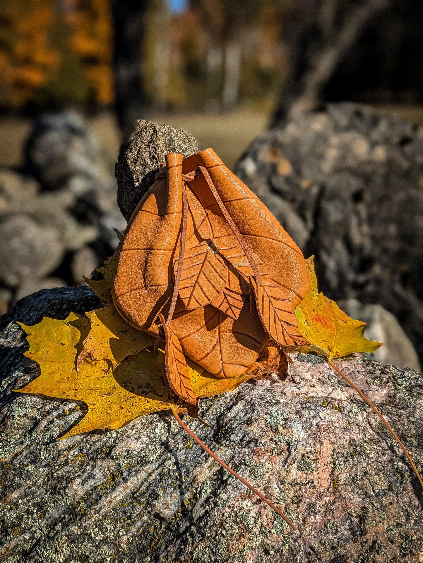 Autumn Leaf Pouch