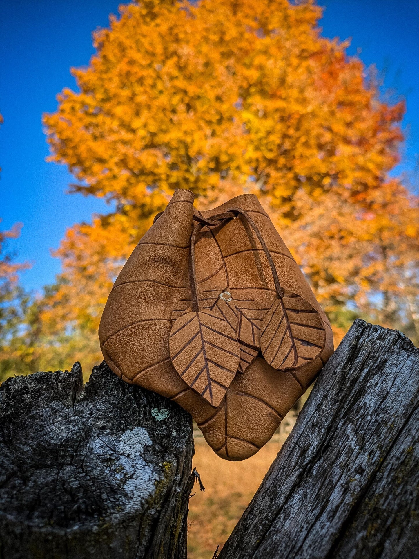 Autumn Leaf Pouch